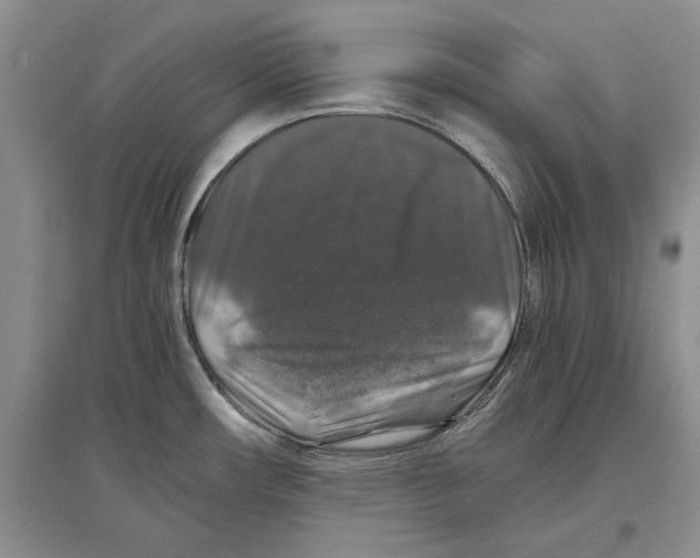 X0000097301482200803141521