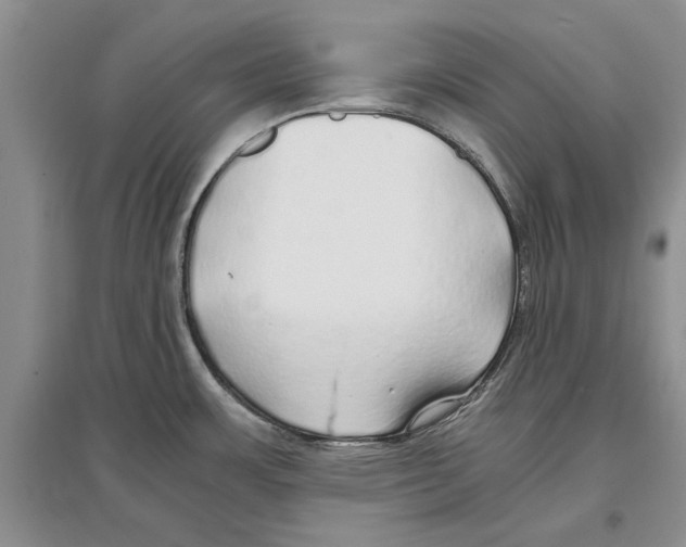 X0000097301483200803141521