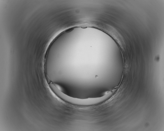 X0000097301484200803141521