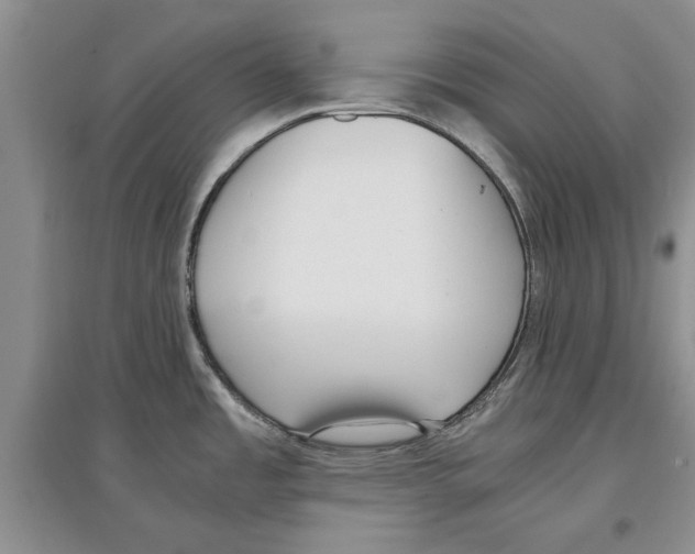 X0000097301485200803141521