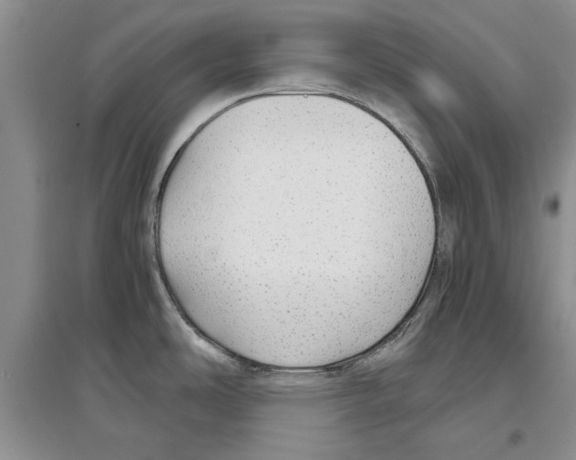 X0000097301486200803141521