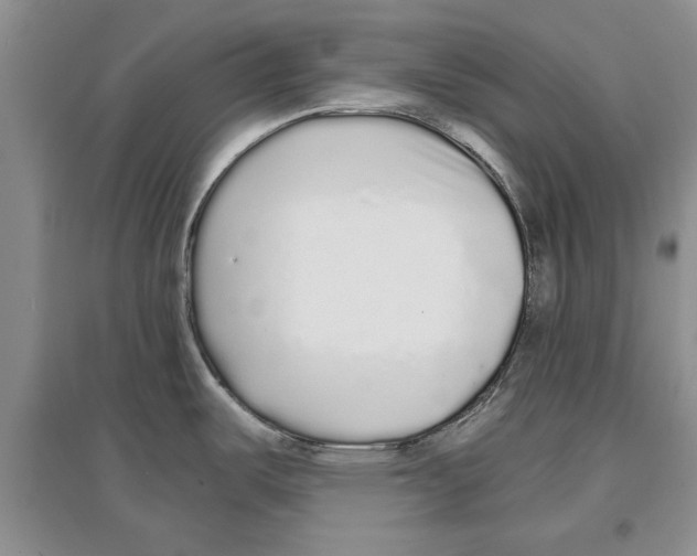 X0000097301487200803141521