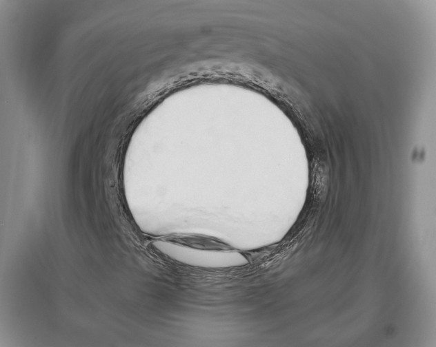 X0000097301489200803141521