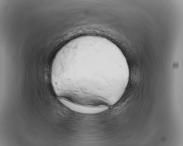 X0000097301490200803141521