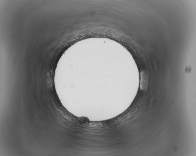 X0000097301491200803141521