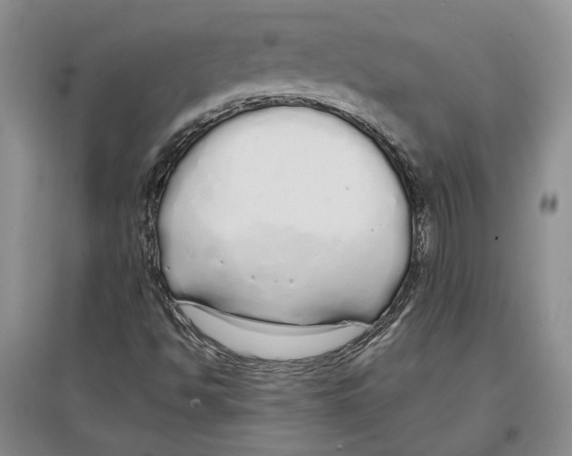 X0000097301494200803141521