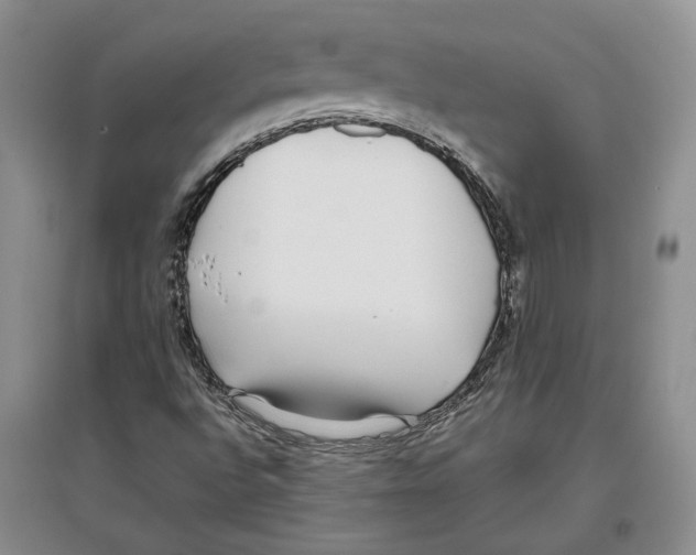 X0000097301496200803141521