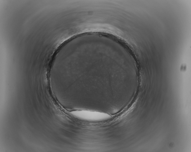 X0000097301497200803141521