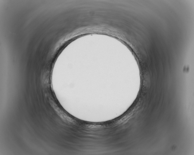 X0000097301499200803141521