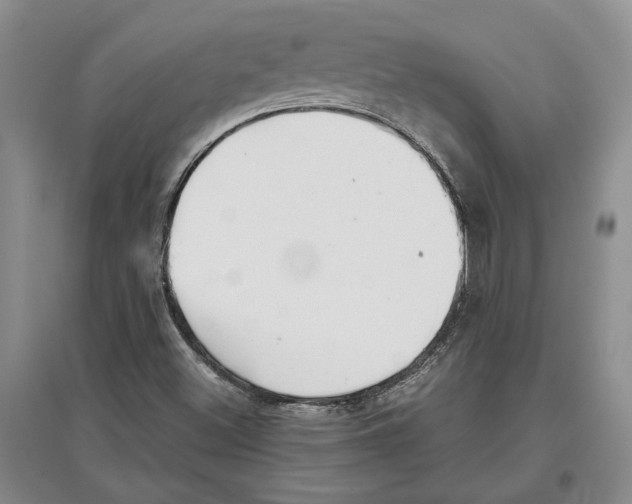 X0000097301500200803141521