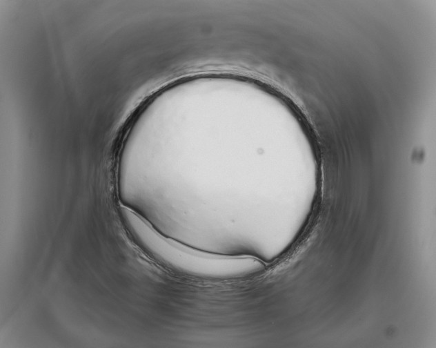 X0000097301501200803141521