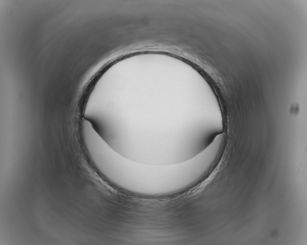 X0000097301502200803141521