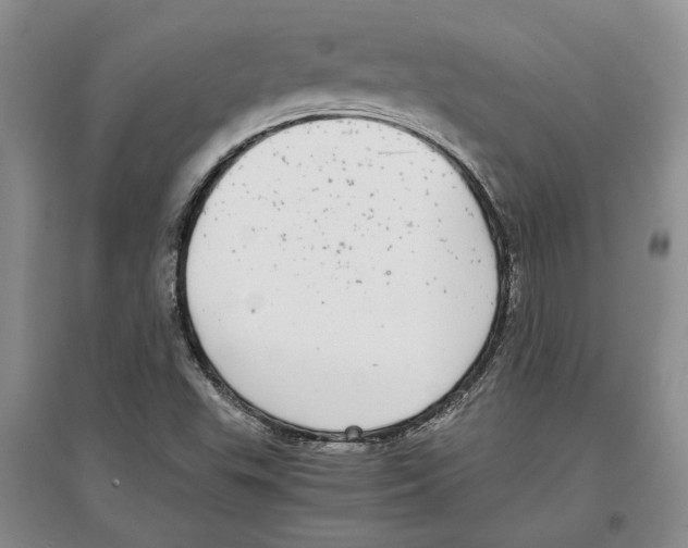 X0000097301503200803141521