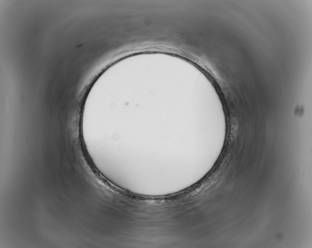 X0000097301504200803141521