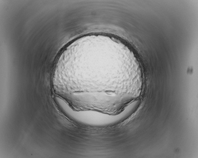 X0000097301505200803141521