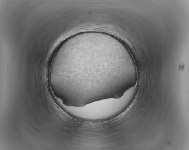 X0000097301506200803141521