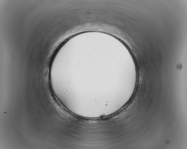 X0000097301507200803141521