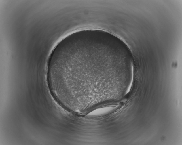 X0000097301508200803141521