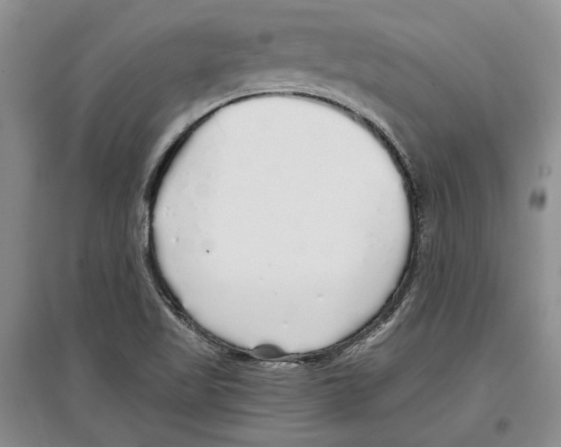 X0000097301509200803141521