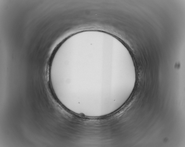 X0000097301510200803141521