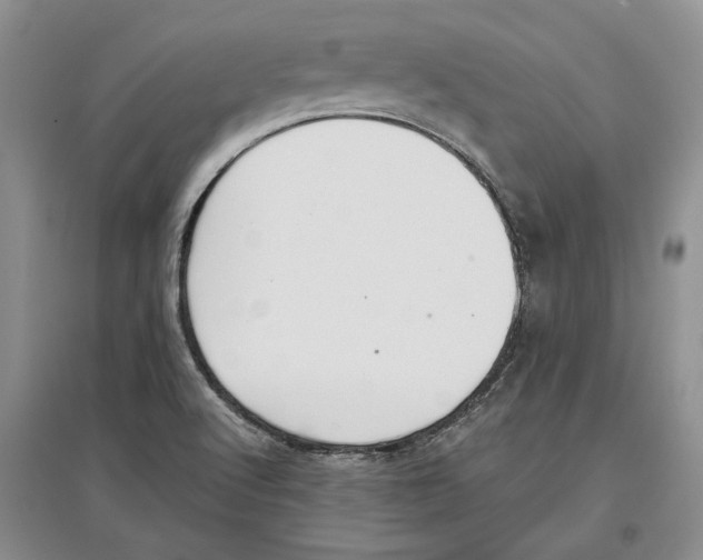 X0000097301512200803141521