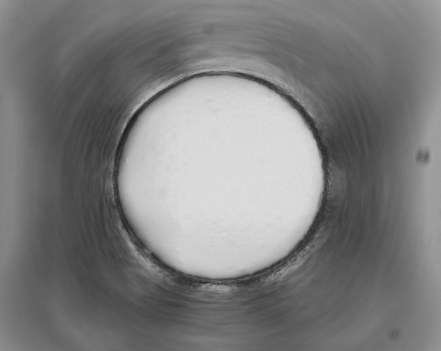 X0000097301513200803141521