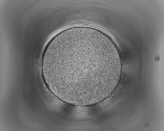 X0000097301514200803141521