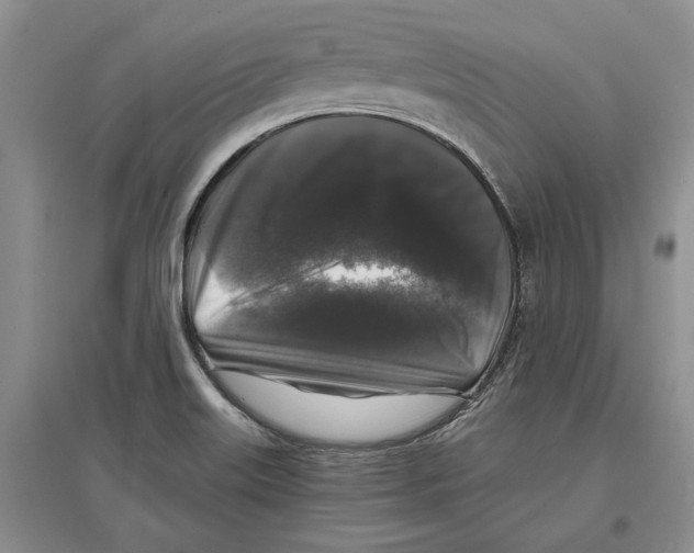 X0000097301515200803141521