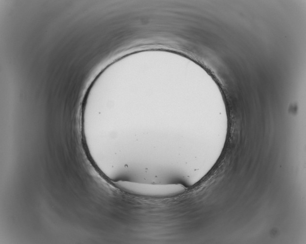 X0000097301516200803141521