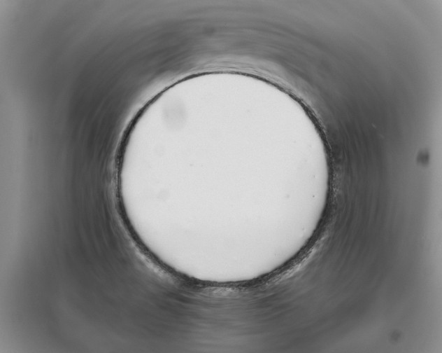 X0000097301517200803141521