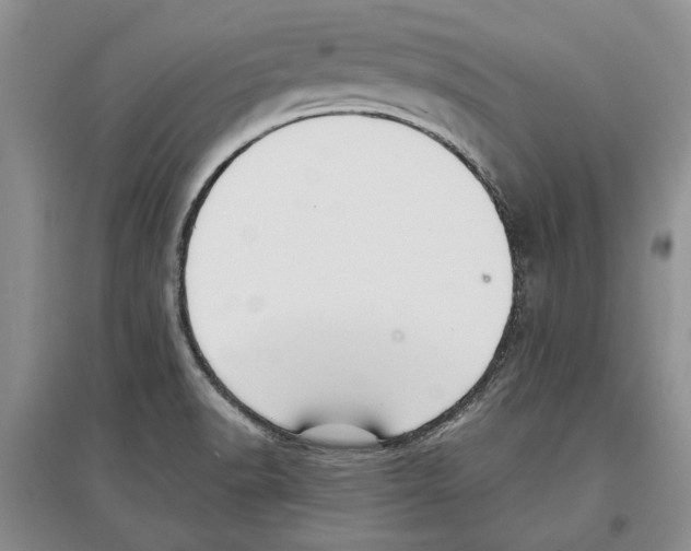 X0000097301518200803141521