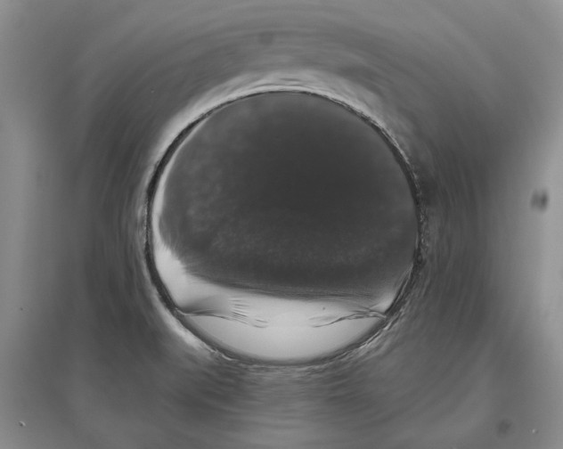 X0000097301519200803141521