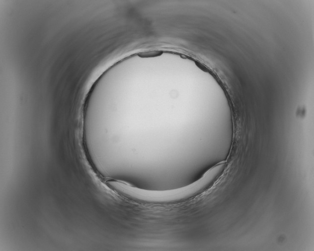 X0000097301520200803141521