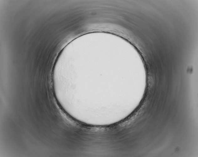 X0000097301521200803141521