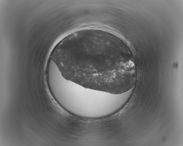 X0000097301522200803141521