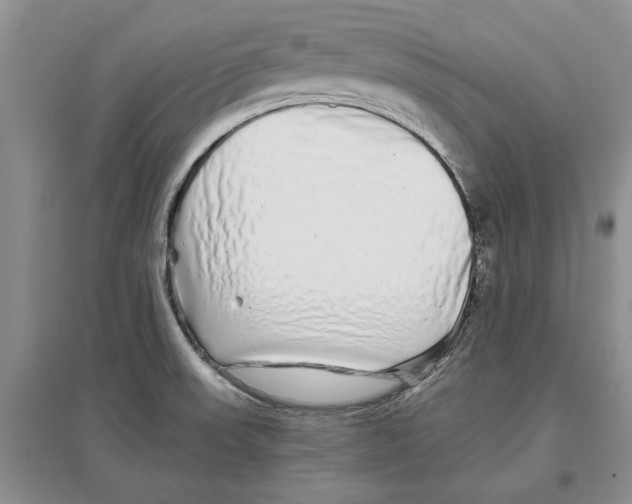 X0000097301523200803141521