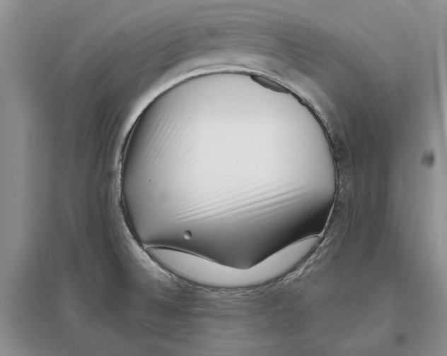 X0000097301524200803141521