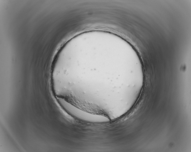 X0000097301525200803141521