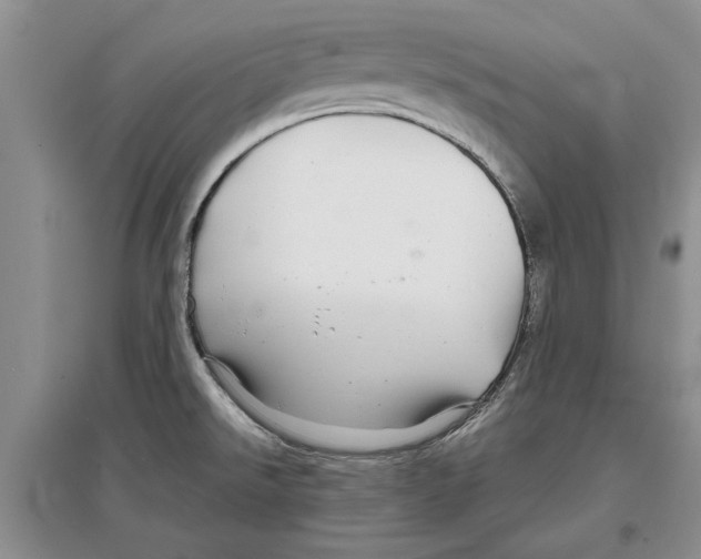 X0000097301526200803141521