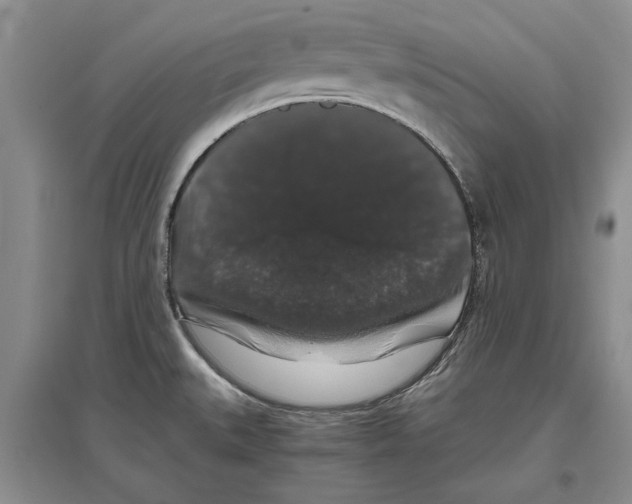 X0000097301527200803141521