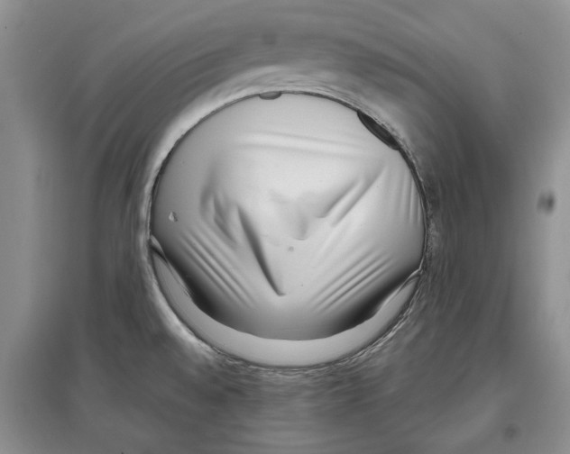 X0000097301528200803141521