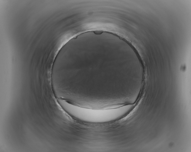 X0000097301529200803141521