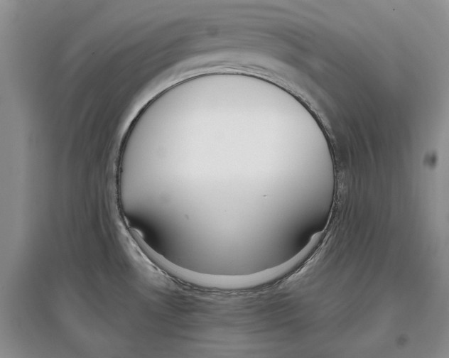 X0000097301530200803141521