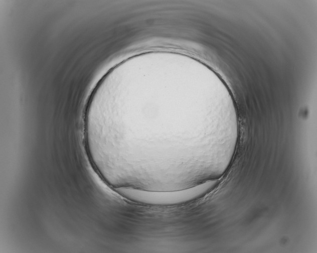 X0000097301531200803141521