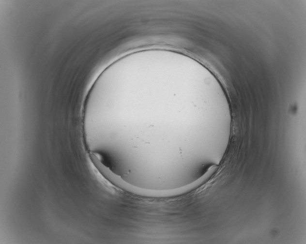 X0000097301532200803141521