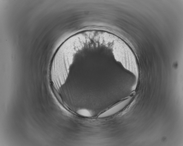 X0000097301533200803141521