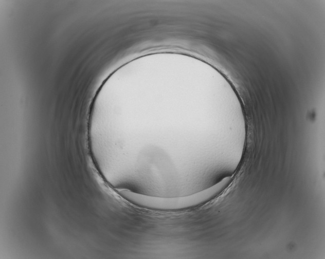 X0000097301534200803141521