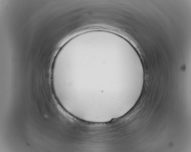 X0000097301535200803141521