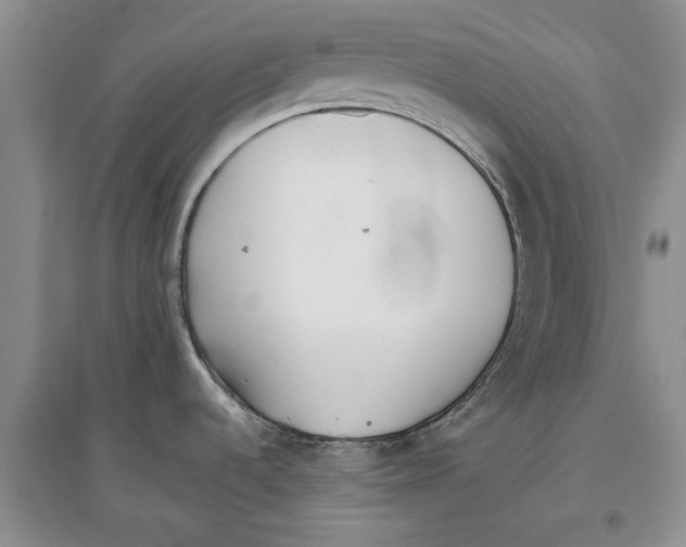 X0000097301536200803141521