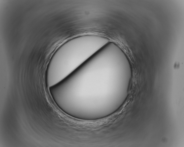X0000097460001200802220817